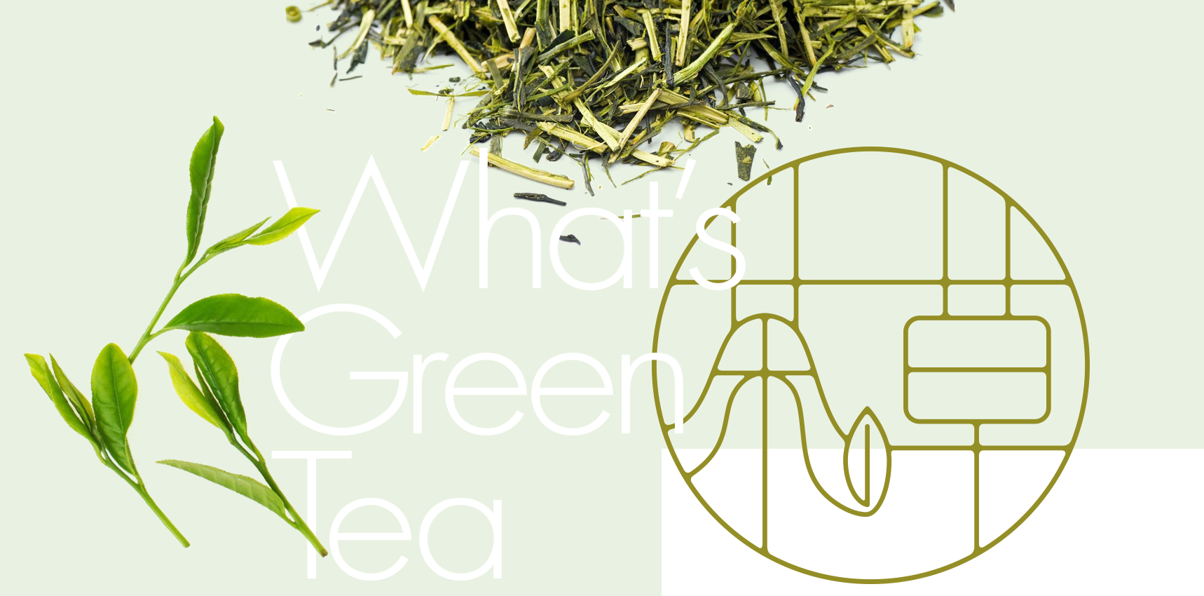 What's Green Tea?